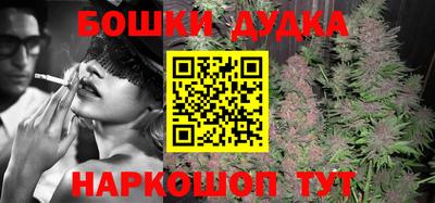 молекула духа Гатчина